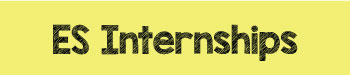 ESinternships